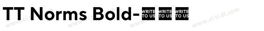 TT Norms Bold字体转换 TT Norms Bold字体转换